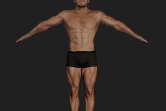 port stylized 3d character, 3d fortnite character,daz3d asset,uv mappimg,pokemon