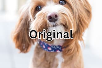 turn your pet into a masterpiece pet painting portrait