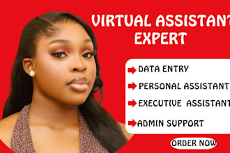 be swift canva graphics designer personal virtual assistant social media manager
