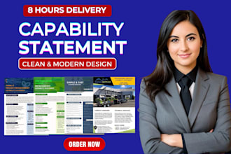 design professional and effective capability statement within 8 hours