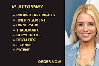 be your copyright, trademark, infringement, patent, and IP lawyer