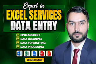 do excel data cleaning, data formatting and cleaning