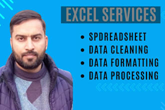 do excel spreadsheet data cleaning, formatting and data processing