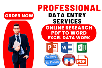 do fast typing job,data entry typing work,convert pdf to word,excel formulas