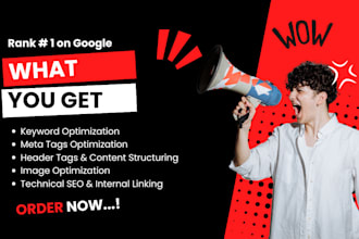 do onpage SEO service and technical optimization of wordpress website