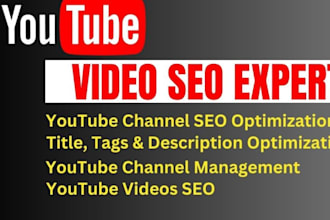 be your best youtube video SEO expert and channel manage
