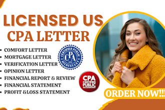 provide US CPA, audit financial statement, comfort letter, mortgage, tax return