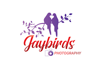 create beautiful photography, videography, film and studio logo design