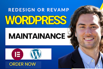 do any wordpress bug fix, customization, wordpress error or critical issues