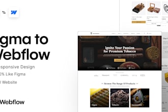 webflow website design with figma, cms import, custom animations