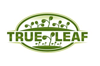 create wonderful and excellent microgreen logo  design