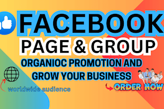 promote and grow your facebook page following fast organic