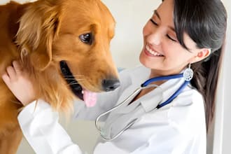 do safe pet care and pet food and supplement formulation