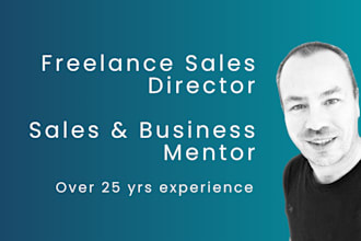 work as a freelance sales and marketing director