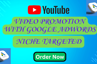 do youtube organic views and channel promotion through google ads