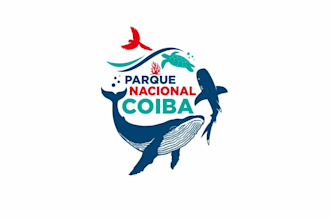 create a modern fish logo design in 1 day