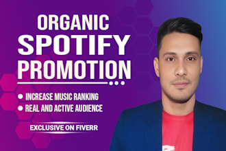 do spotify music promotion through ads campaign