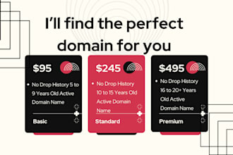 find the perfect, brandable, SEO friendly domain for your