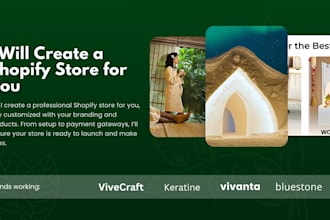 set up shopify store and shopify website