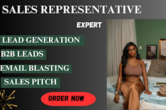be your high ticket dynamic sales closer sales agent and sales representative