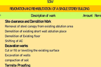 prepare a professional scope of work sow  scope statement