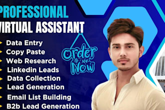 be your perfect virtual assistant for excel data entry and web research