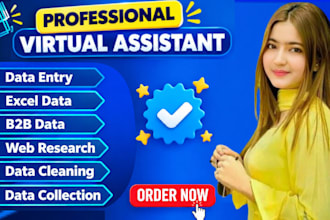 be your virtual assistant for data entry and web research