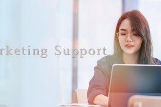 provide marketing support in japan