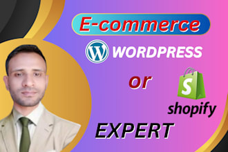 do a professional google ads, wordpress and shopify ecommerce website SEO