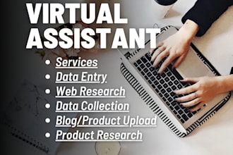be you virtual assistant for data entry, admin, research or product upload