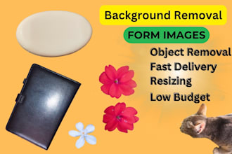 do image background removal and object removal