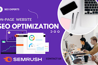 expert website onpage SEO  for organic traffic growth