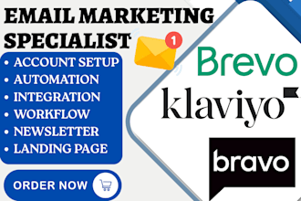 design custom editable brevo email template bravo newsletter klaviyo marketing