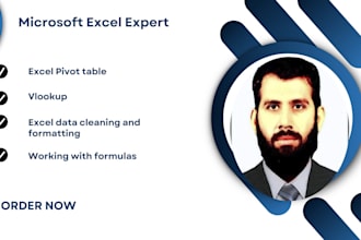 do expert excel data cleaning, vlookup, pivot and google sheet