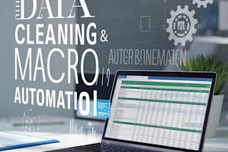 your expert in data cleaning and excel macros,automating your tasks and efficicy