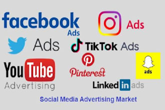create twitter ads, snapchat ads and pinterest ads campaigns
