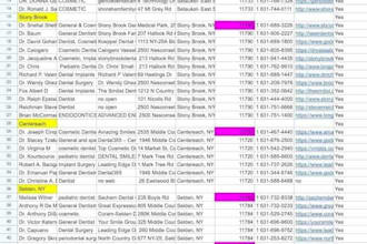 do data entry and lead generation pro