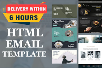 develop html email template or email newsletter template within 6 hours