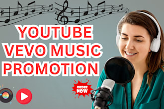 do youtube vevo music video promotion to targeted niche