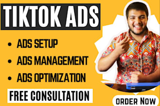 skyrocket your brand with tiktok ads and management