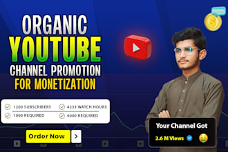 complete youtube channel monetization
