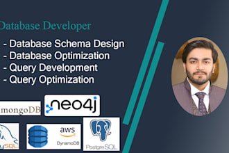 develop and optimize your database schema and queries