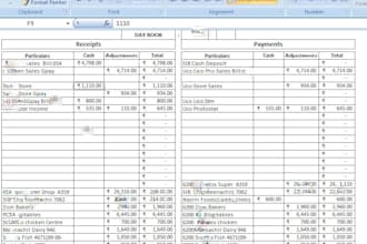 do excel data cleaning , organizing and accounting service