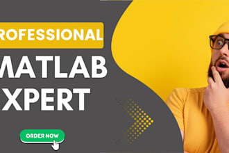 do matlab and simulation task and projects in 24 hours