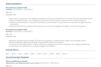 write and update europass CV within 24 hours