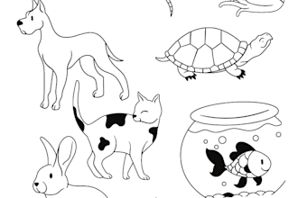 draw colouring book and activity pages for kids