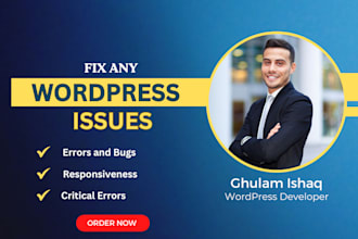 fix wordpress issues bugs errors in wordpress website