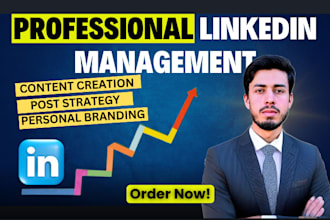 professionally manage your linkedin profile and create engaging content