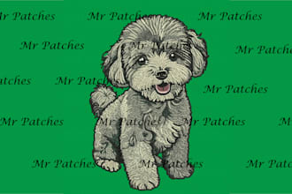 do digitizing, vector and patches