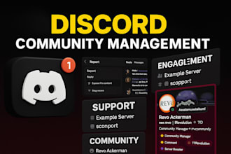 be your discord community manager